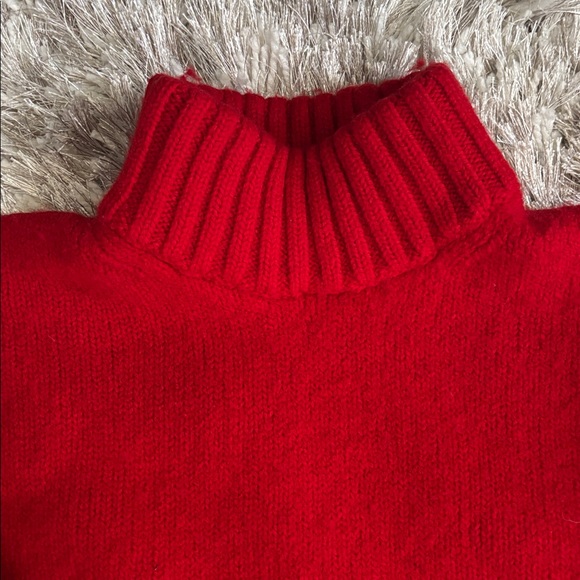 Wilfred Turtleneck Sweater♥️ - Picture 3 of 6